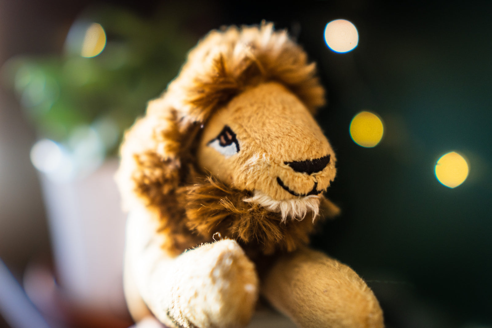 Peluches du Miller zoo