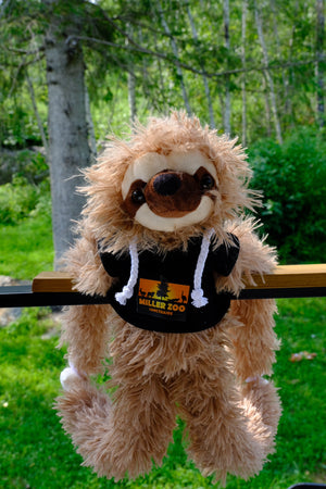 Peluche Chewie
