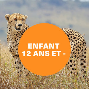 Saison estivale 2026