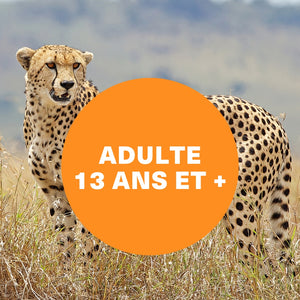 Saison estivale 2026