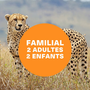 Saison estivale 2026