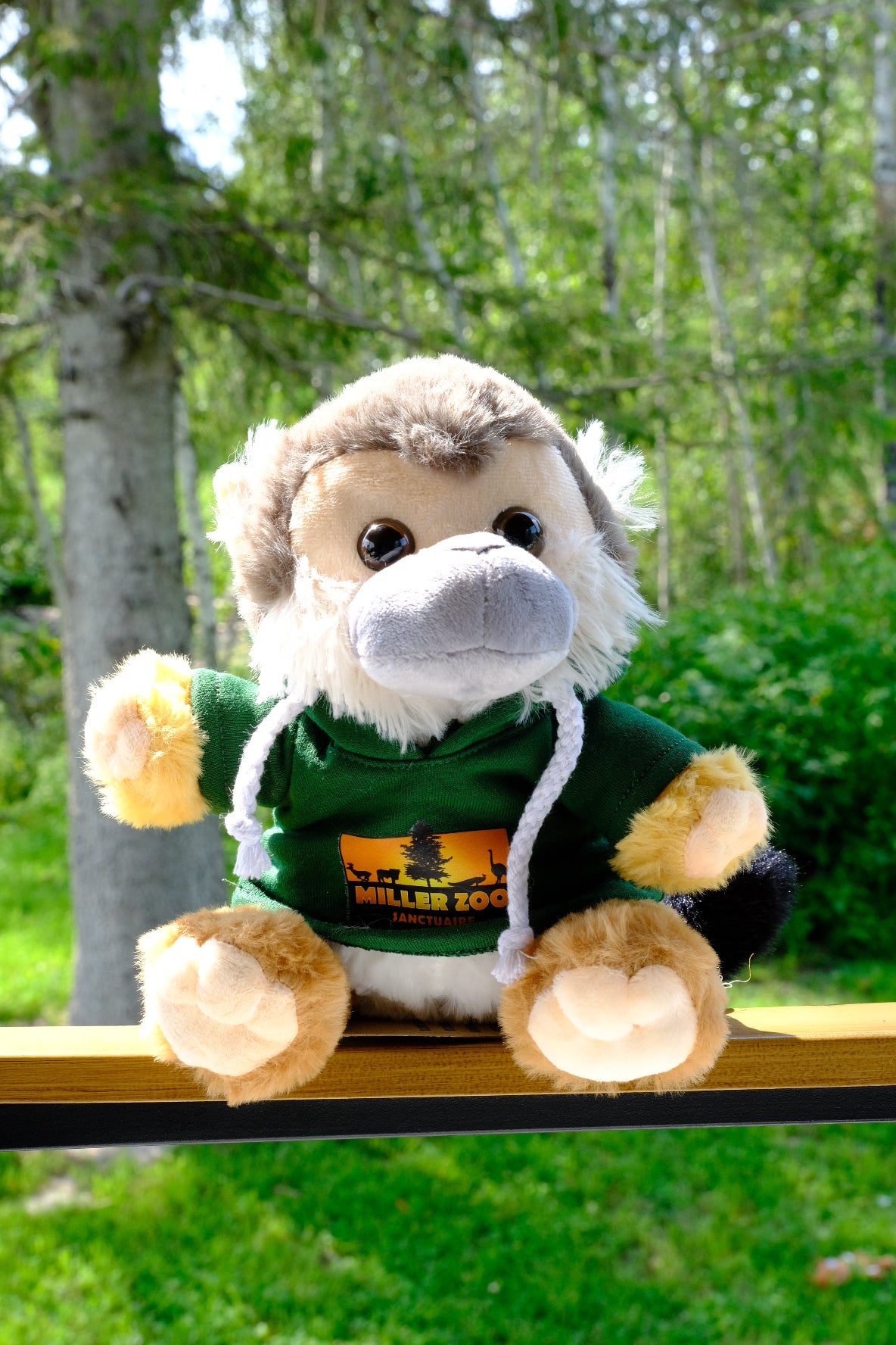 Peluche Léo
