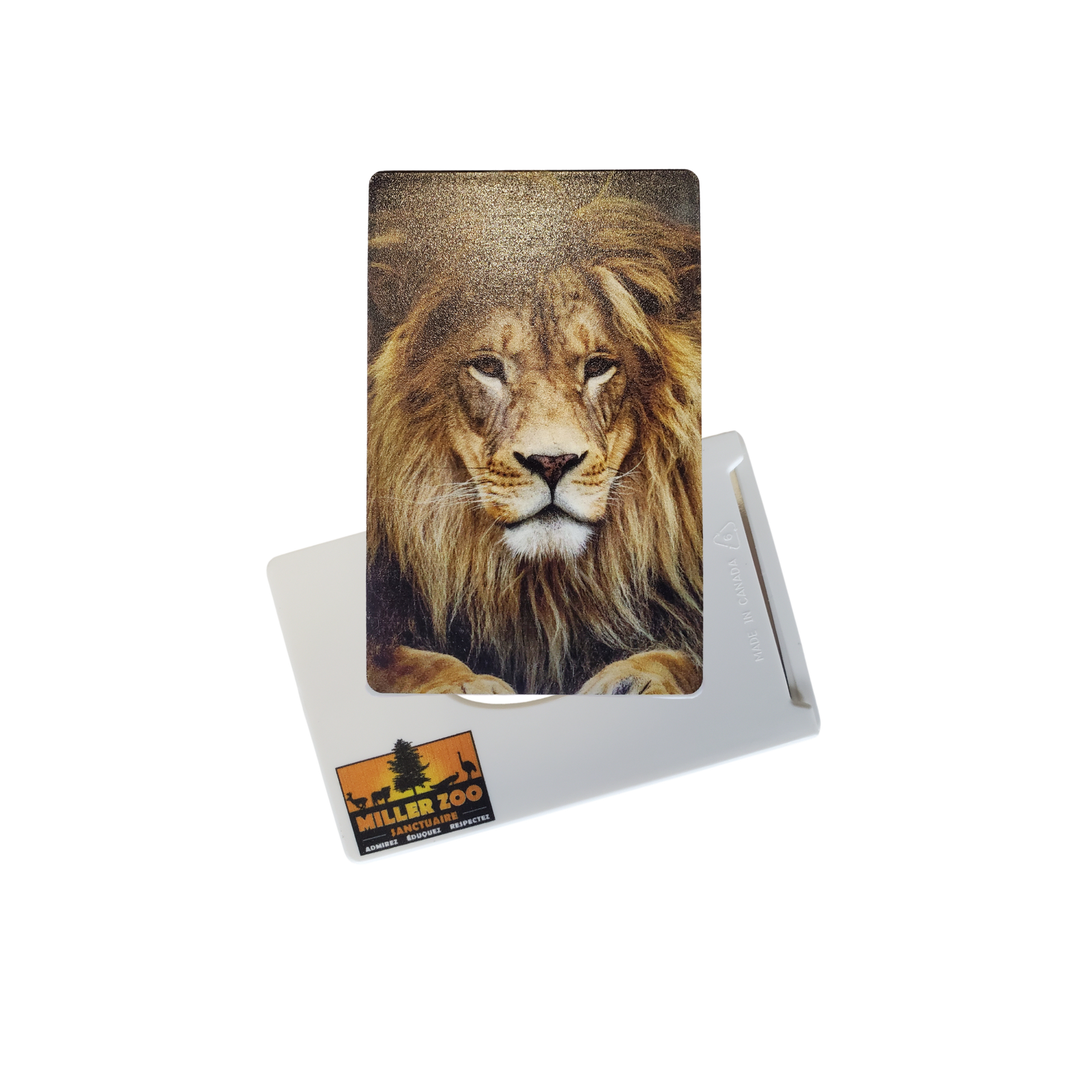 Protege cartes avec protection RFID - Miller Zoo