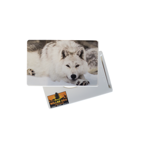 Protege cartes avec protection RFID - Miller Zoo