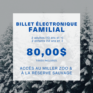 Saison Hivernale 2024