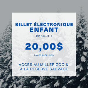 Saison Hivernale 2024