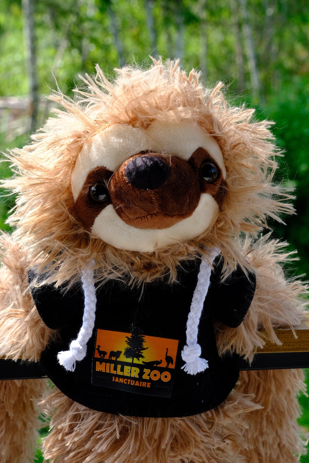 Peluche Chewie