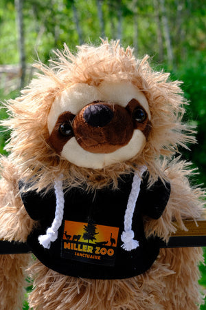 Peluche Chewie