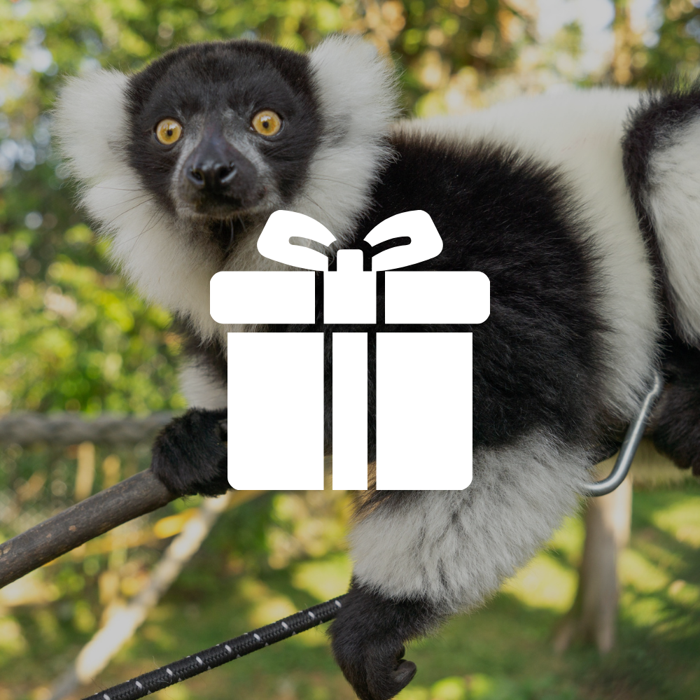 Billet Cadeau (Billets physiques envoyés par la poste)