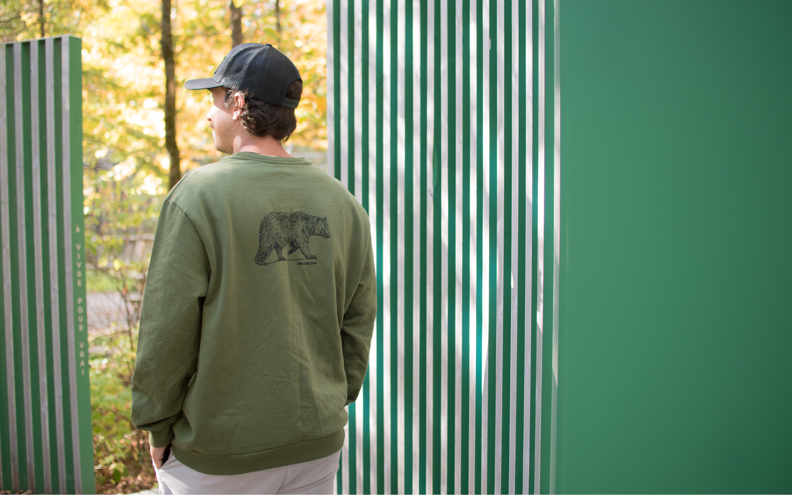 Crewneck adulte ours