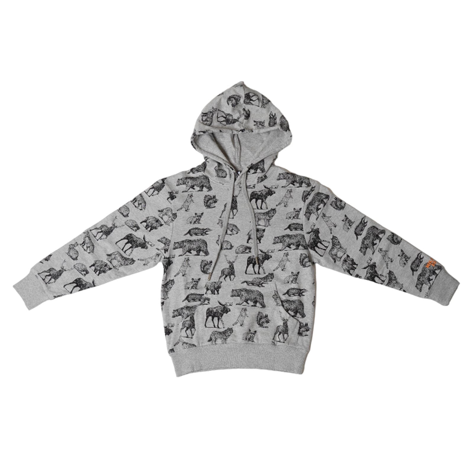 Kangourou Animaux - Enfant