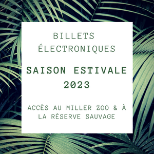 Billet Électronique Saison Estivale 2023