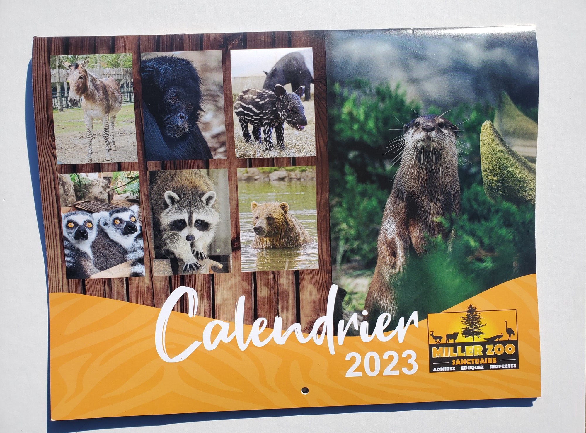Calendrier 2023 - Miller Zoo