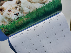 Calendrier 2023 - Miller Zoo