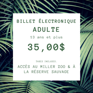 Billet Électronique Saison Estivale 2023