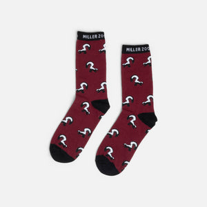 Chaussettes Homme