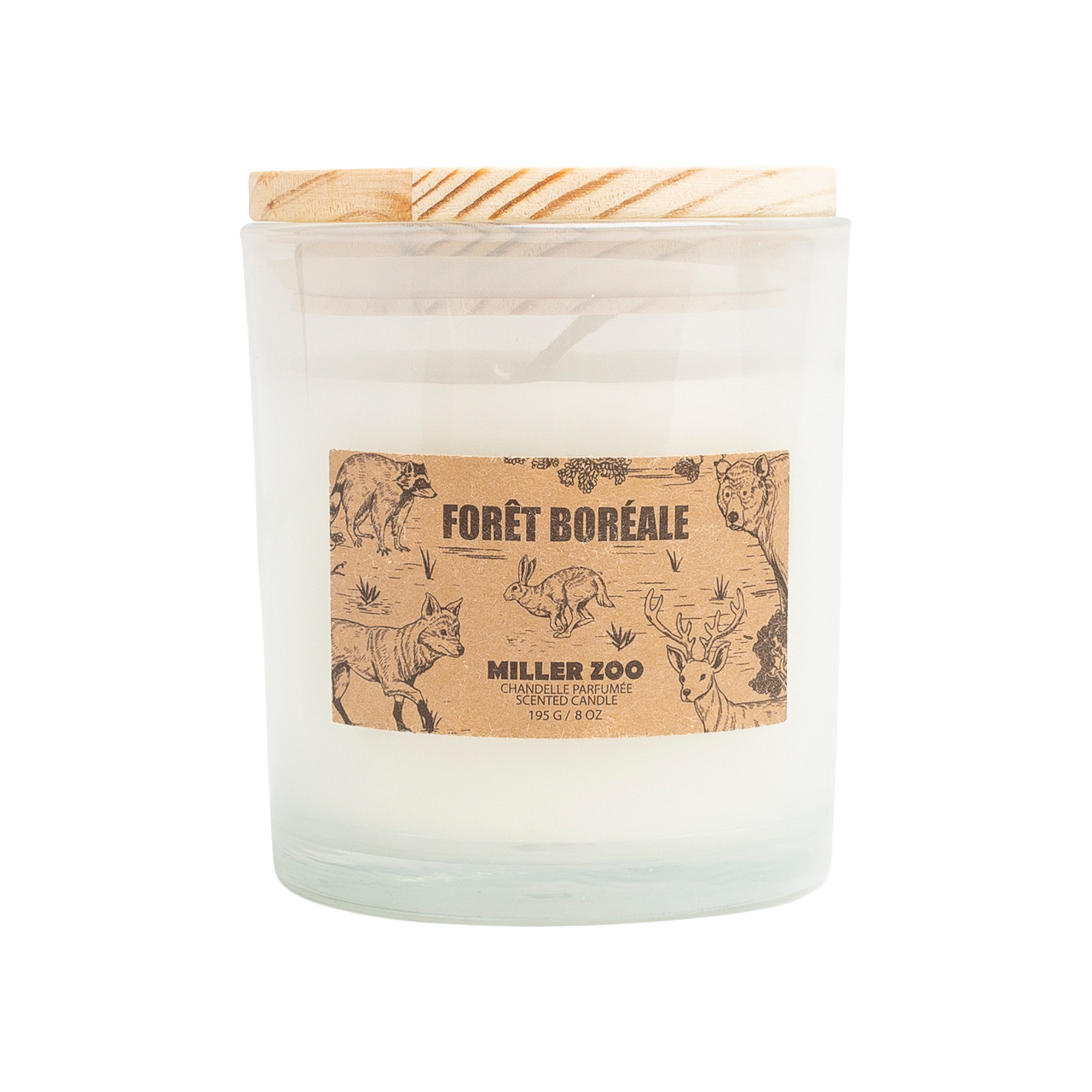 Chandelle Forêt Boréale
