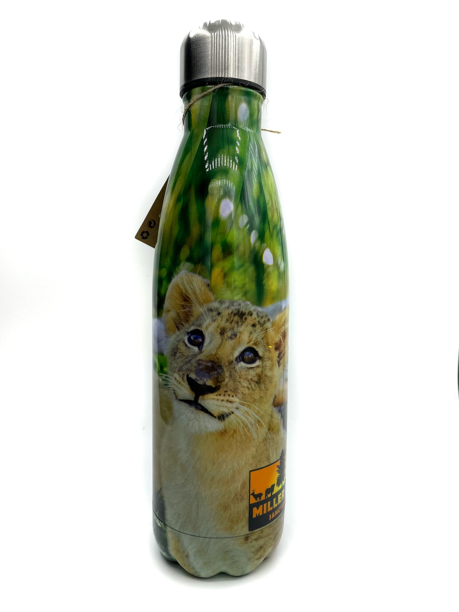 Bouteille isolé réutilisable - Lion