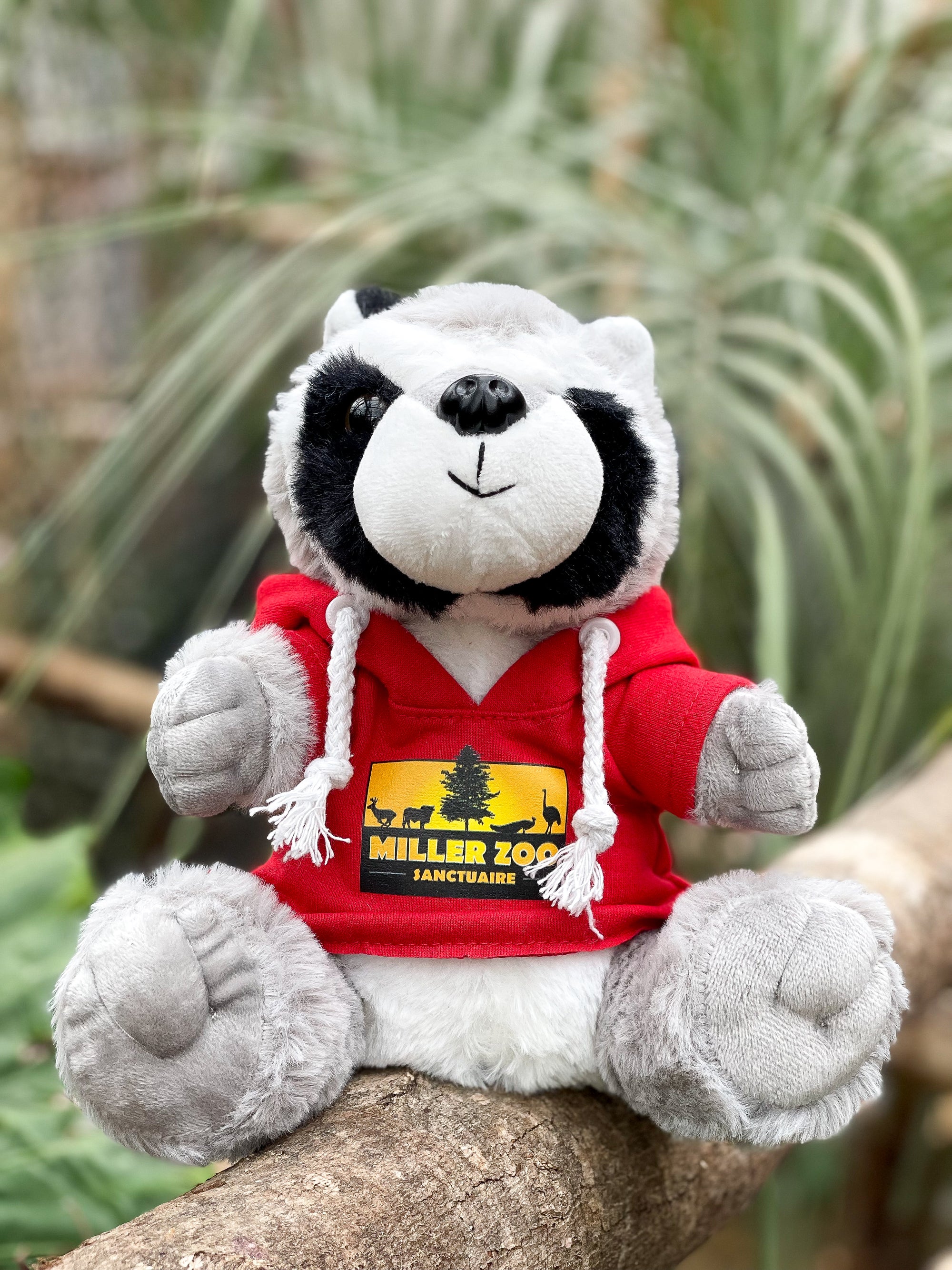 Peluche Patoff