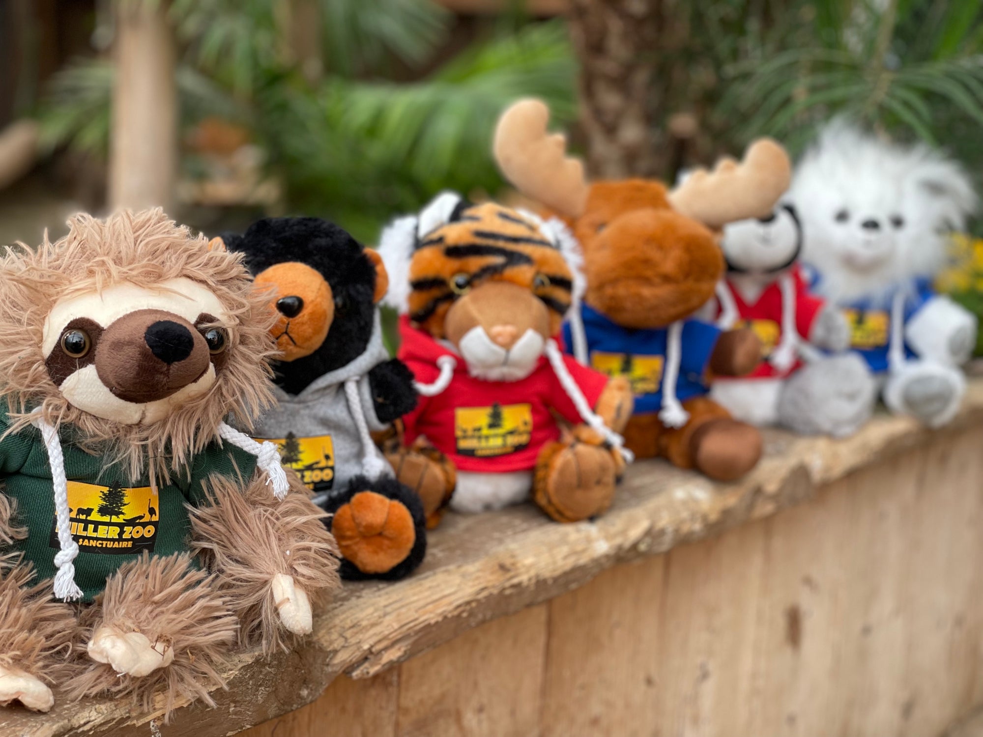 Ensemble 5 peluches