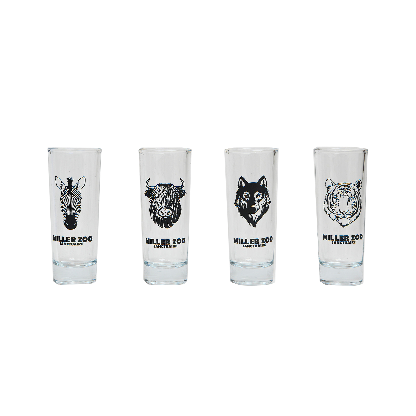 Ensemble Verres à Shooter