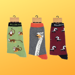 Chaussettes Homme